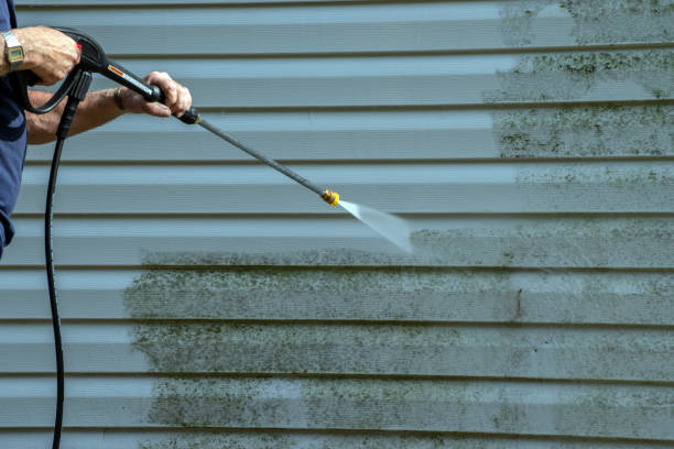 Best Roof Power Washing Services  in USA