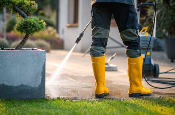 Best Pressure Washing Company Near Me  in USA